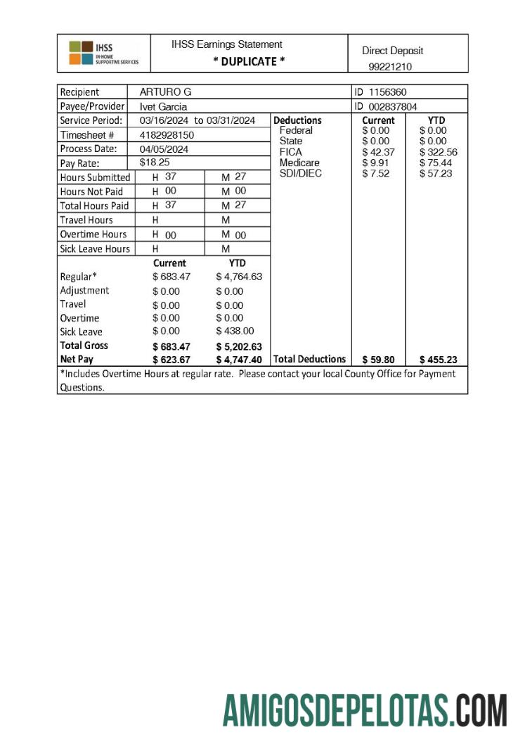 Premium IHSS In Home Supportive Services earnings laporan templat in Word and PDF format.PDF, 1