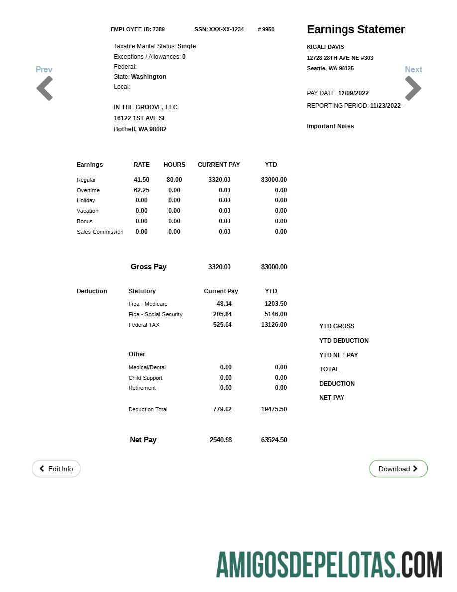 Realistis IN THE GROOVE, LLC earnings laporan templat in Word and PDF format.PDF, 1