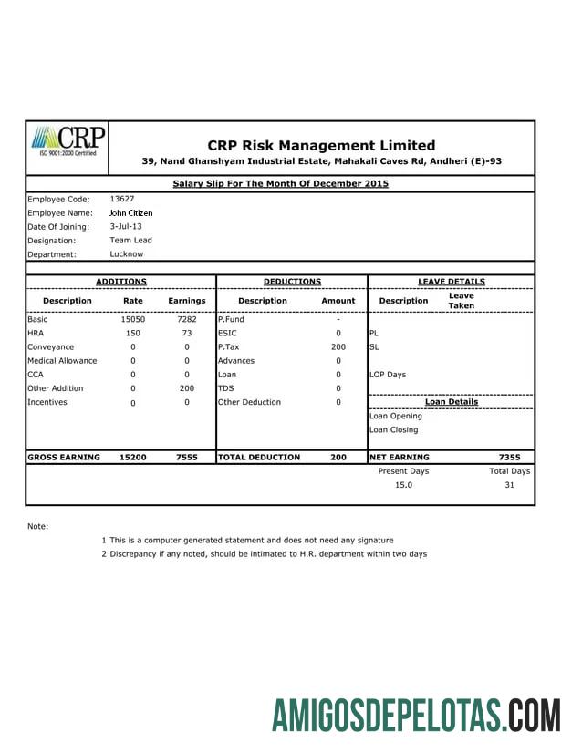 Premium India CRP Risk Management Limited salary slip templat in Word and PDF format