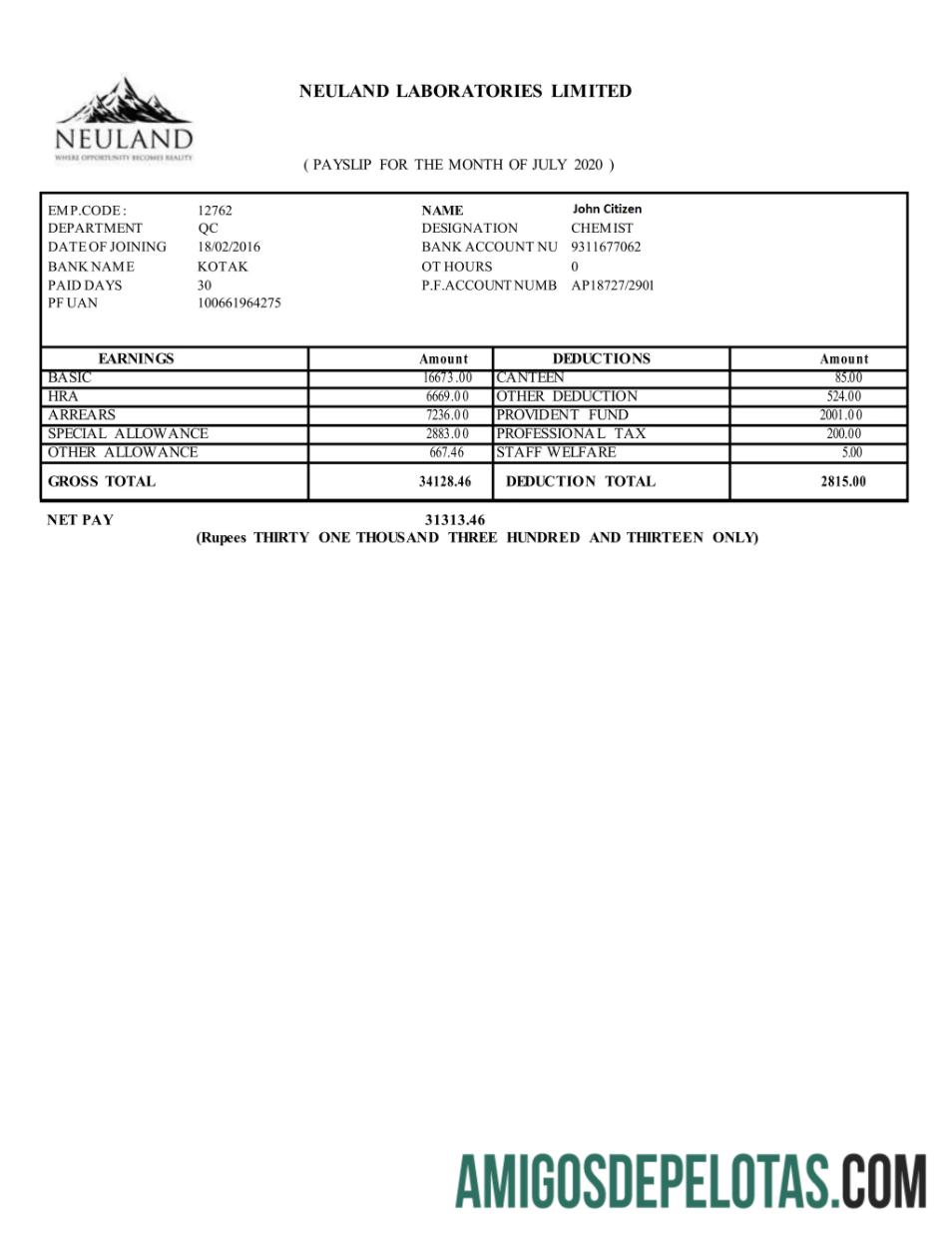 India NEULAND Laboratories Limited in Word and PDF format makering