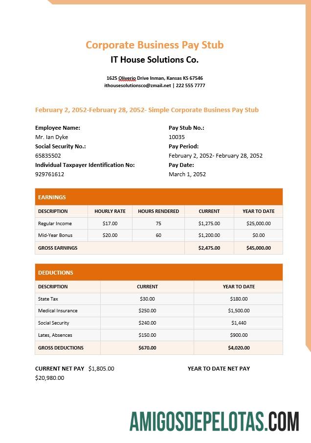 IT house solutions Co. pay stub in PDF and Word format templat