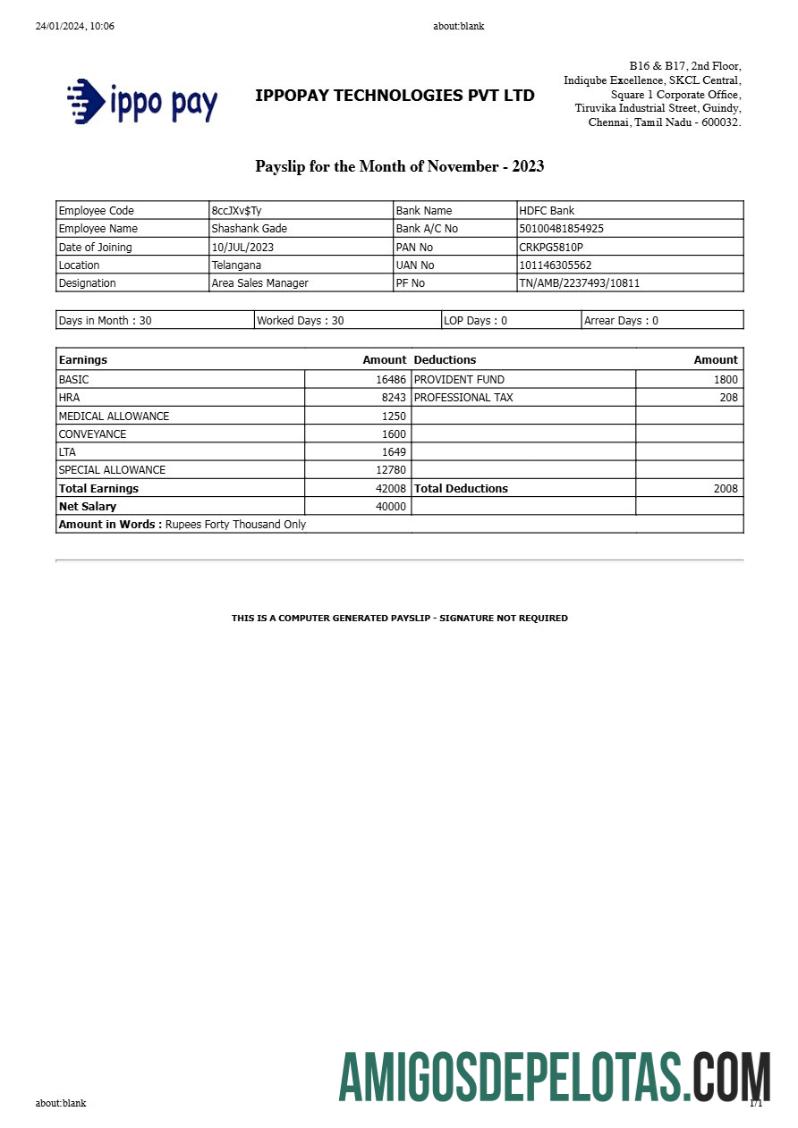 Dapat Diedit IppoPay Technologies payslip templat in Word and PDF format.PDF, 1