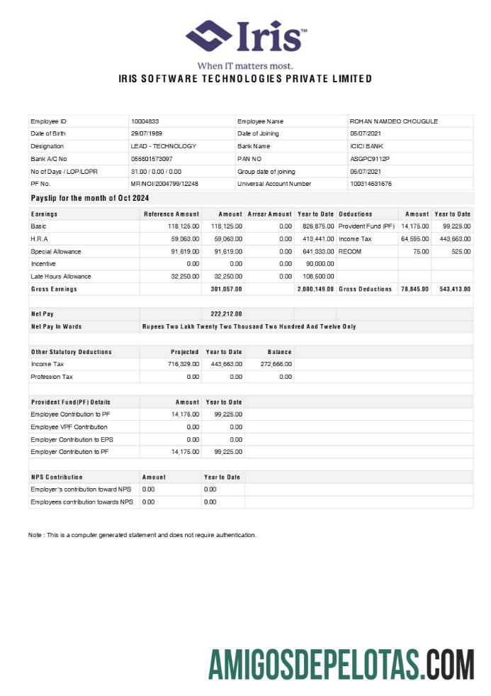 Berkualitas Iris Perangkat Lunak Technologies payslip templat in Word and PDF format.PDF, 1