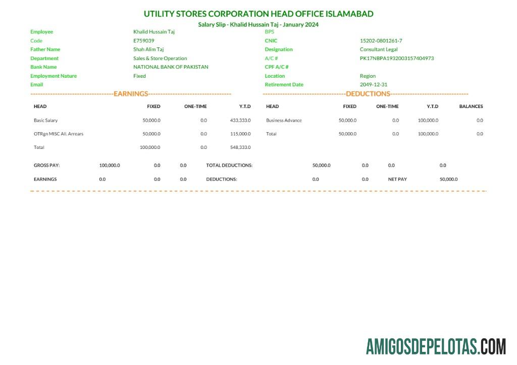 Premium Islamabad Tagihan Stores Corporation salary slip templat in Word and PDF format.PDF, 1