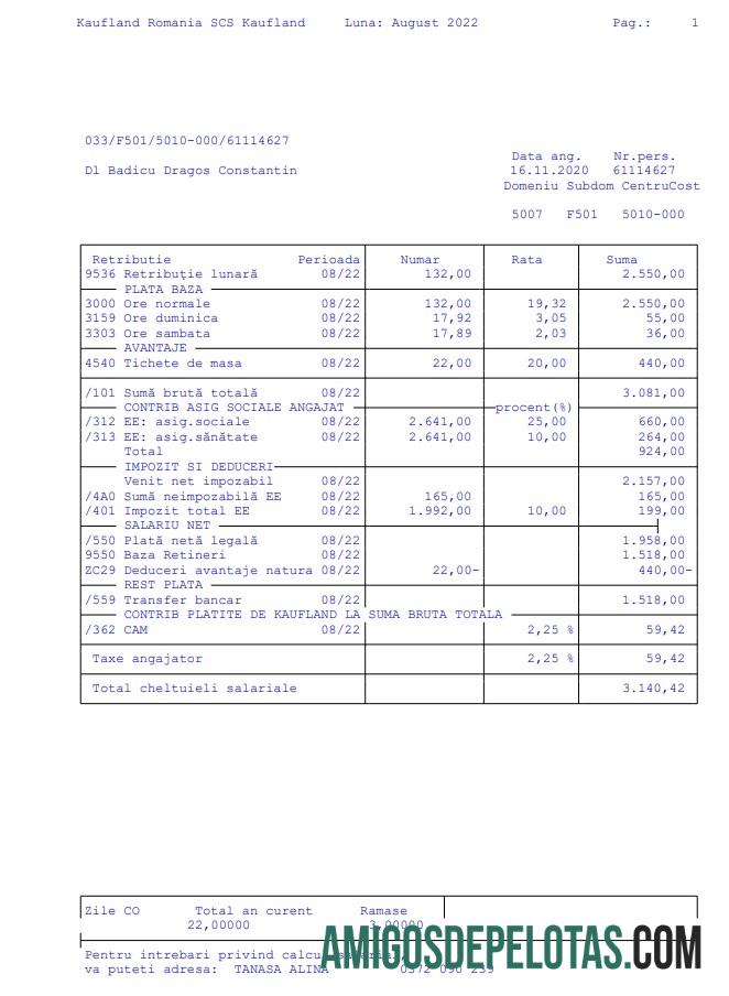 Kaufland Rumania SCS Paystub sampel
