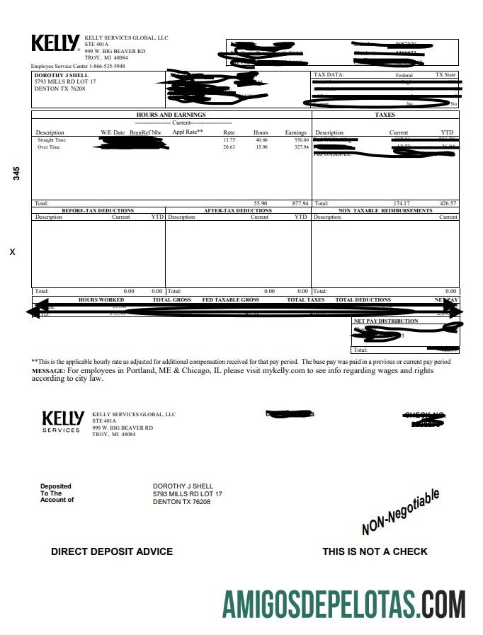 Kelly Paystub pratinjau