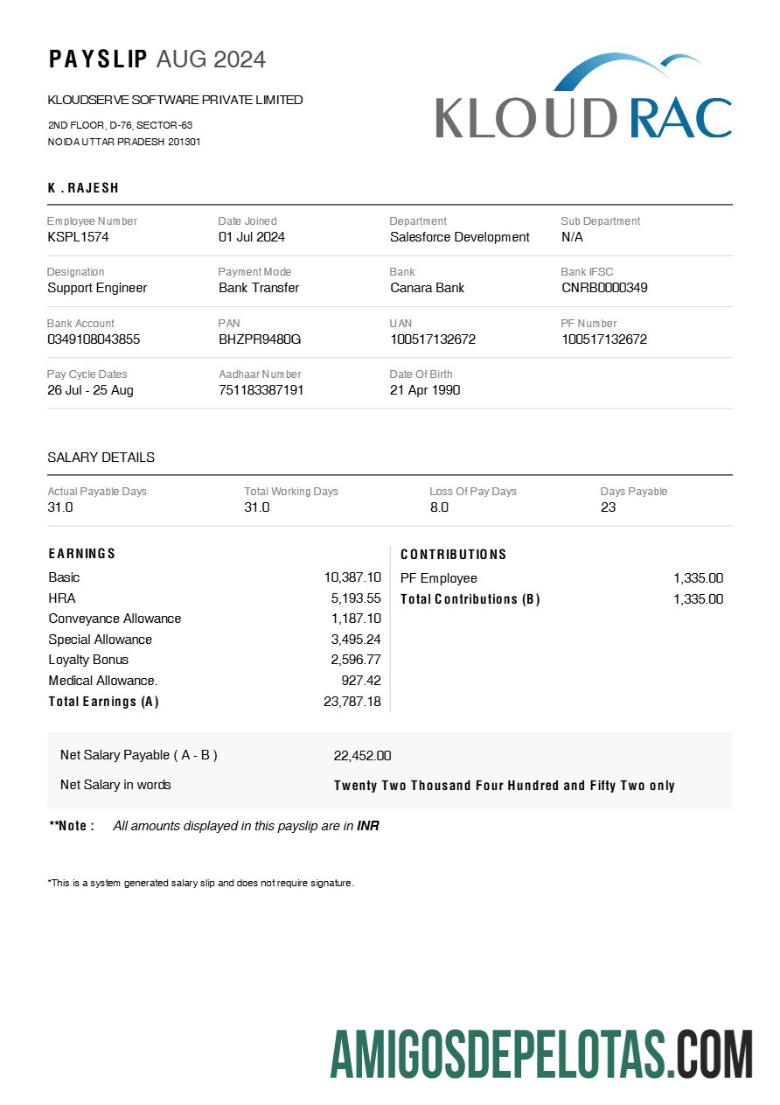 Profesional Kloudserve Perangkat Lunak payslip templat in Word and PDF format.PDF, 1