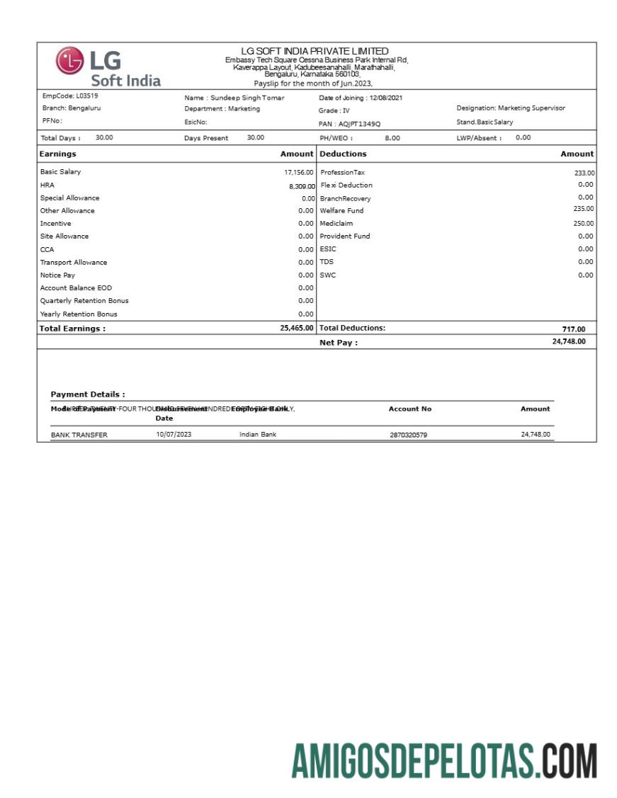 Premium LG Soft India payslip templat in Word and PDF format.PDF, 1