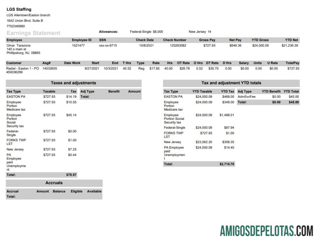 LGS Staffing pay stub in PDF and Word format templat