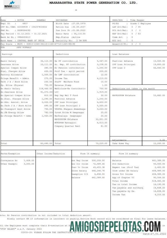 Maharashtara State Power generation Co. Paystub templat