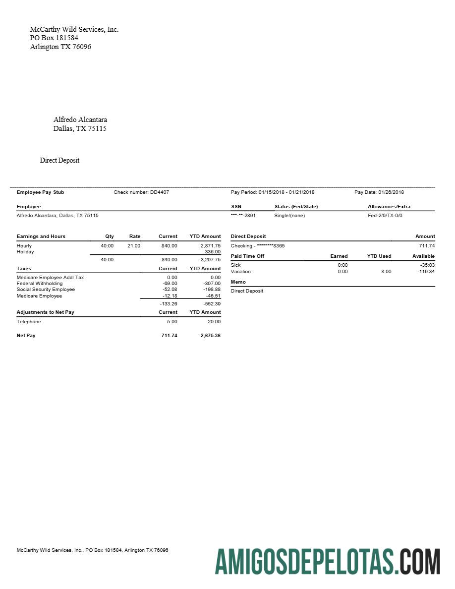 Profesional McCarthy Wild Services, IncΓÇñ pay stubs templat in Word and PDF format.PDF, 1