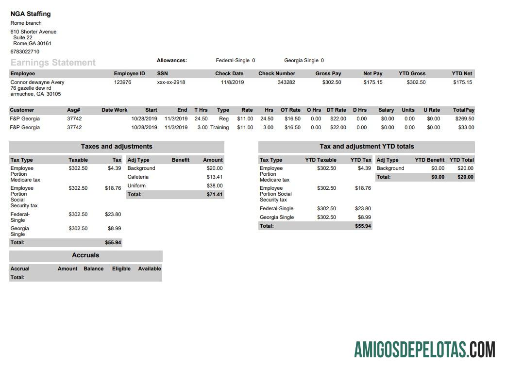 NGA Staffing pay stub in PDF and Word format sampel