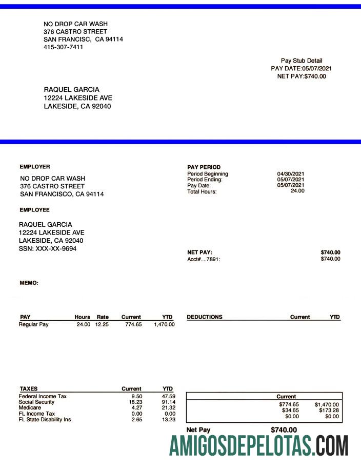 NO DROP CAR WASH pay stub in PDF and Word format desain