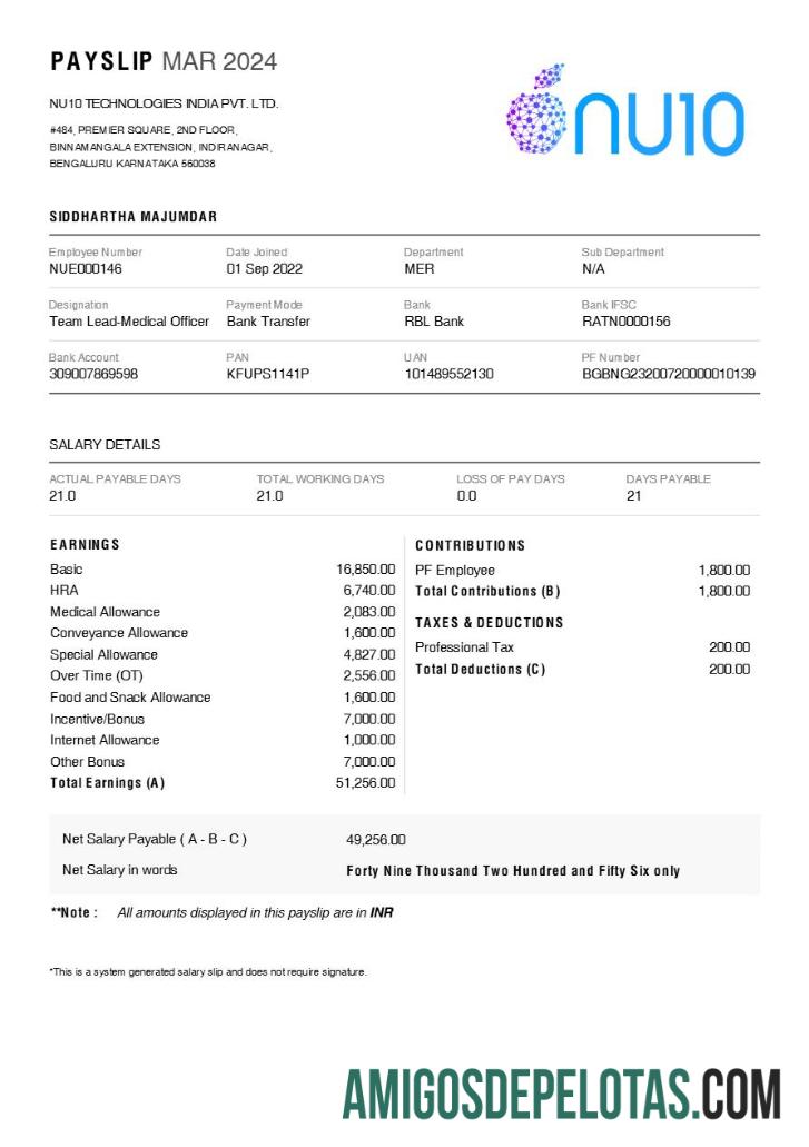 Premium NU10 Technologies India payslip templat in Word and PDF format.PDF, 1