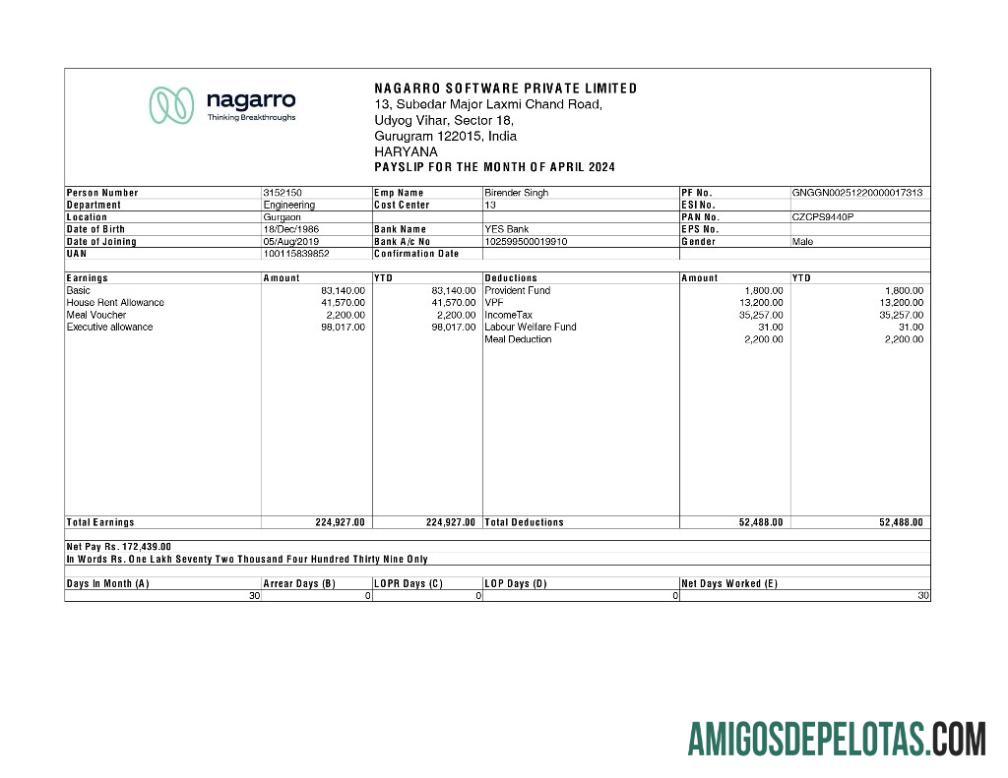 Berkualitas Nagarro Perangkat Lunak payslip templat in Word and PDF format.PDF, 1
