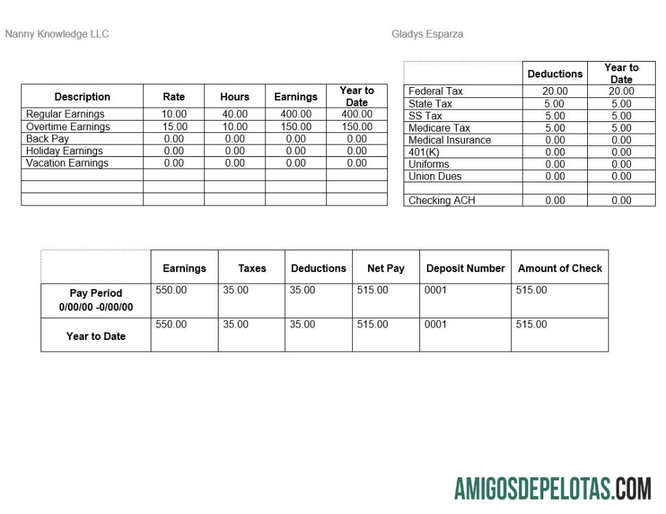 Berkualitas Nanny Knowledge LLC pay stub Word and PDF templat