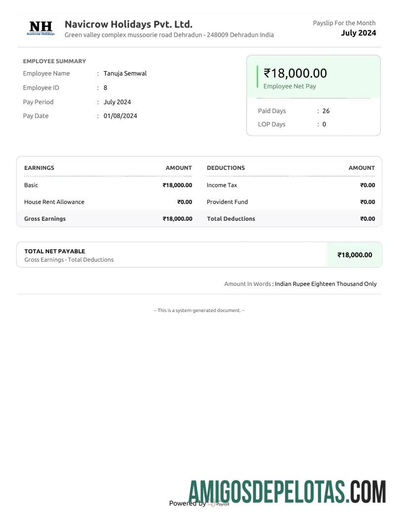 Profesional Navicrow Holidays Pvt. Ltd. earnings Ringkasan templat in Word and PDF format.PDF, 1