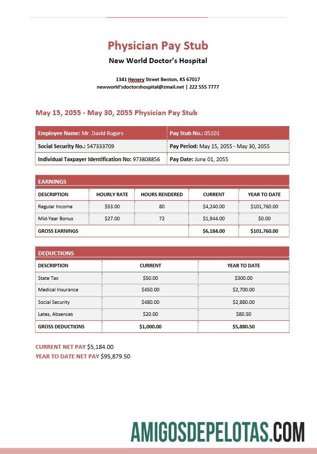 Baru World DoctorΓÇÖs Hospital Physician Pay Stub in PDF and Word format pratinjau