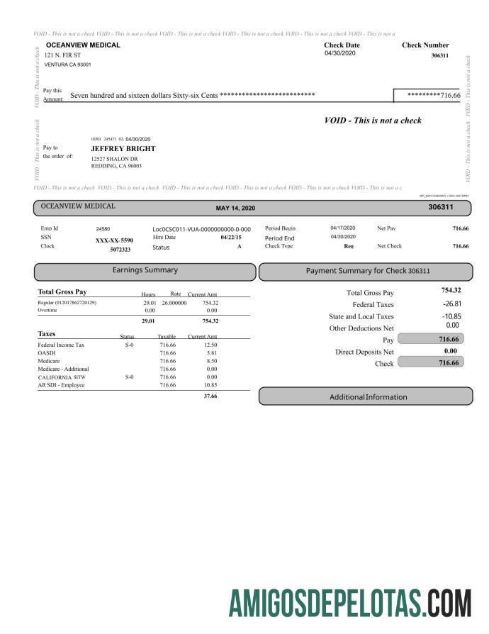 Oceanview medis Paystub desain