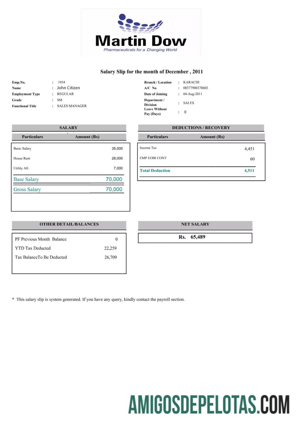 Premium Pakistan MARTIN Dow paystlip templat in Word and PDF format
