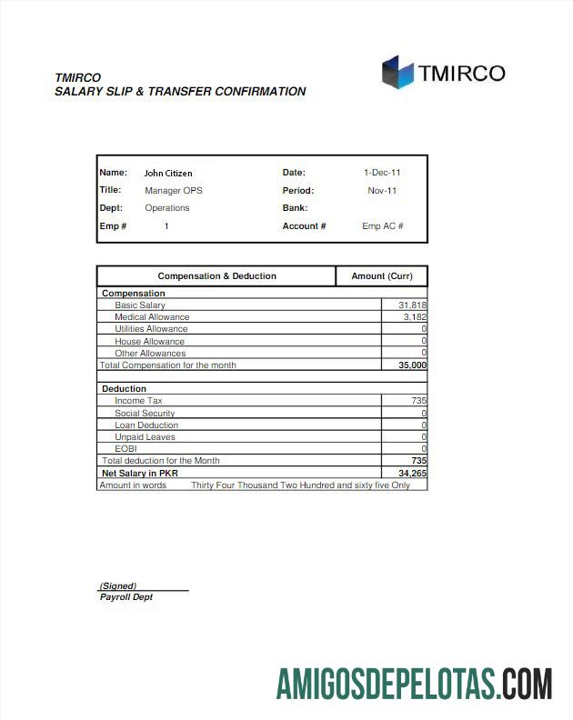 Pakistan TMIRCO Perusahaan earning statemetn in Word and PDF format desain