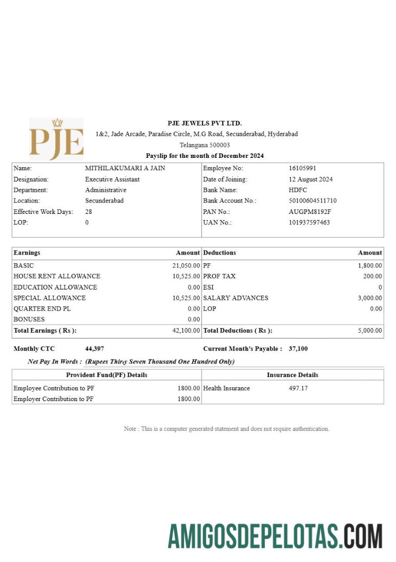 Premium PJE Jewels payslip templat in Word and PDF format.PDF, 1