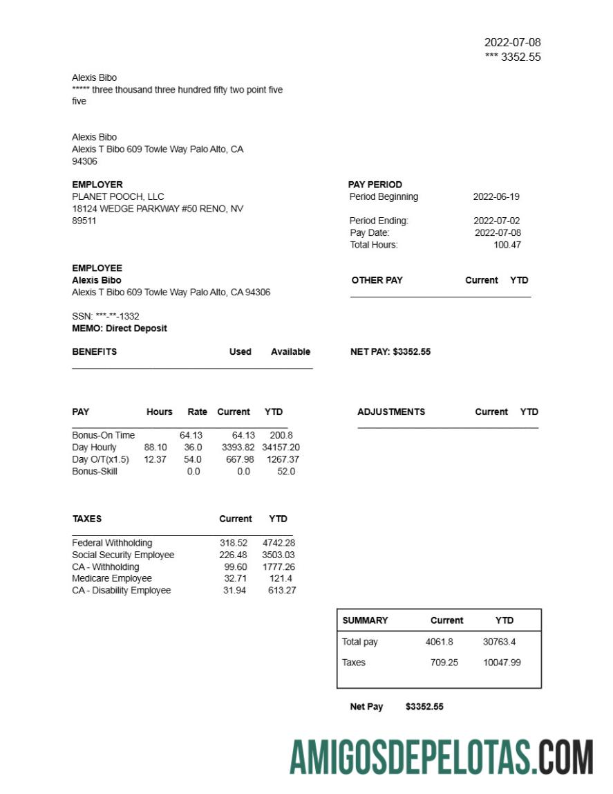 Profesional PLANET POOCH, LLC earnings laporan templat in Word and PDF format.PDF, 1