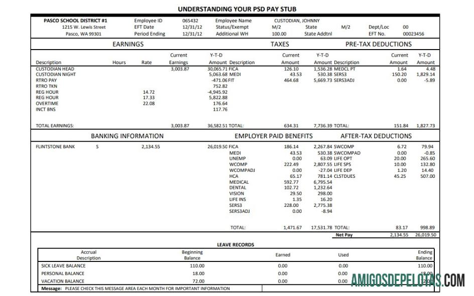 Realistis Pasco sekolah district pay stub Word and PDF templat
