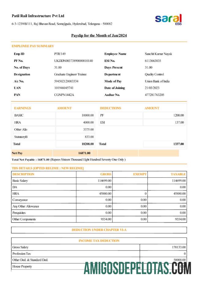 Premium Patil Rail Infrastructure payslip templat in Word and PDF format.PDF, 1