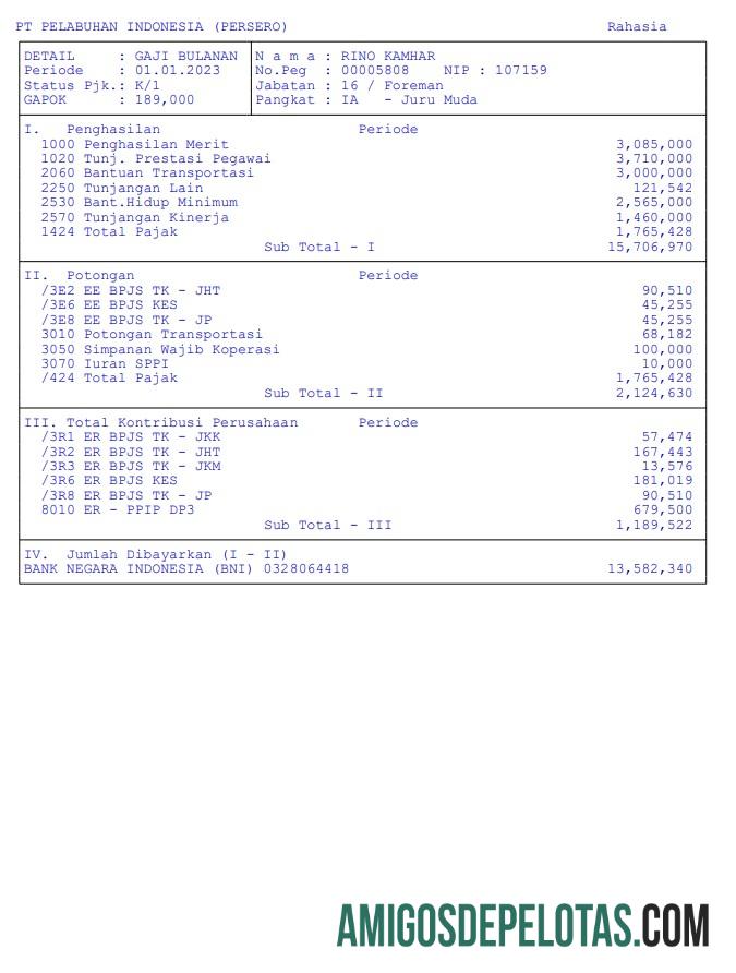 Pt pelabuhan Indonesia (persero) pay stub in PDF and Word format templat