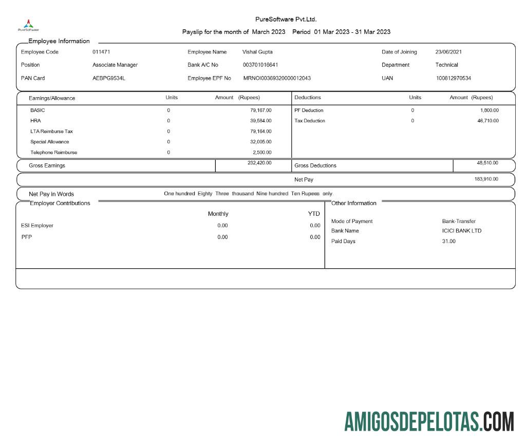 Premium PureSoftware payslip templat in Word and PDF format.PDF, 1