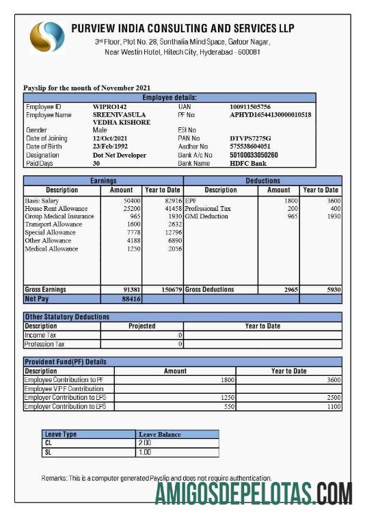 Profesional Purview India Consulting and Services payslip templat in Word and PDF format.PDF, 1