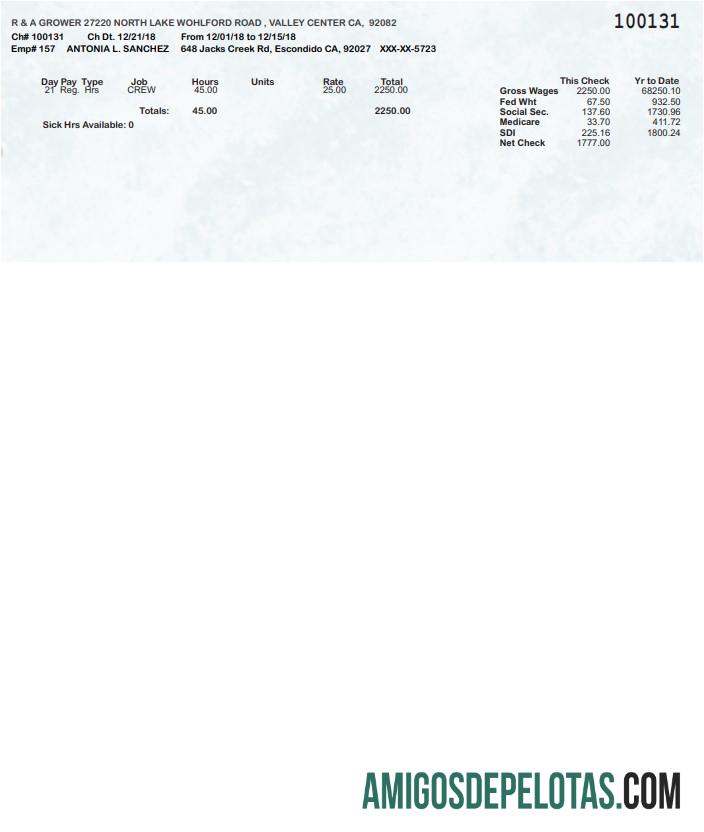 R & A Grower pay stub in PDF and Word format pratinjau