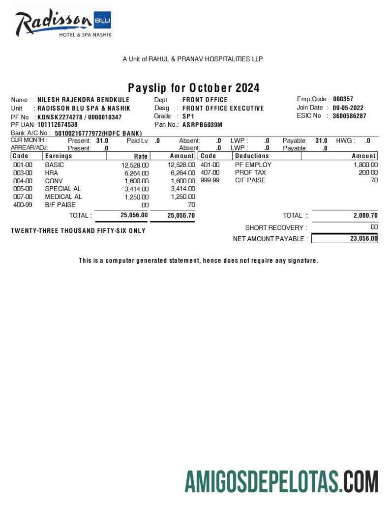 Dapat Diedit Radisson Blu Hotel & Spa payslip templat in Word and PDF format.PDF, 1
