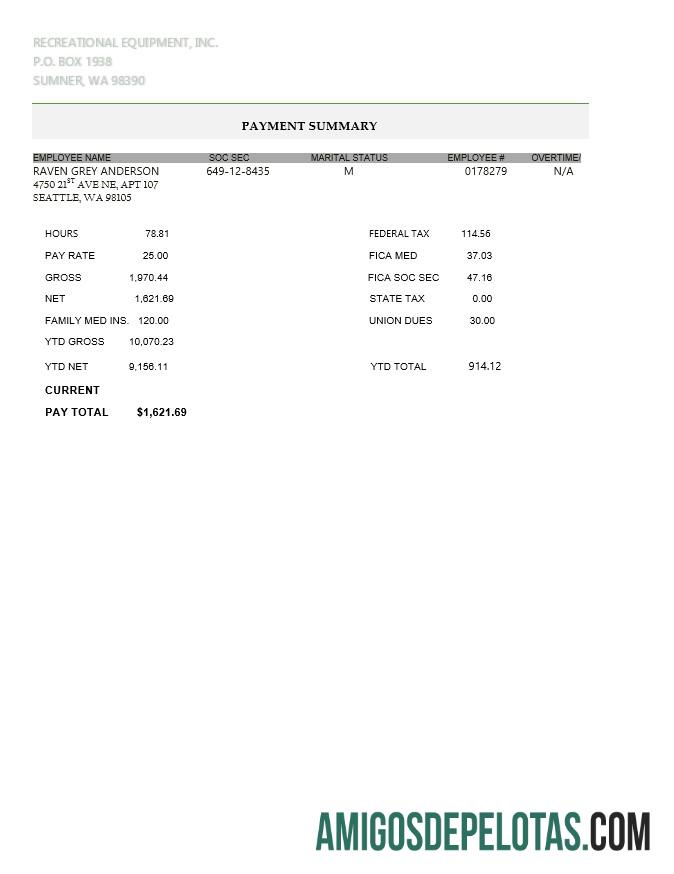 Recreational Peralatan LLC pay stub in PDF and Word format templat