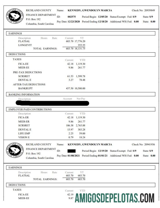 Richland County Keuangan Department paystub makering