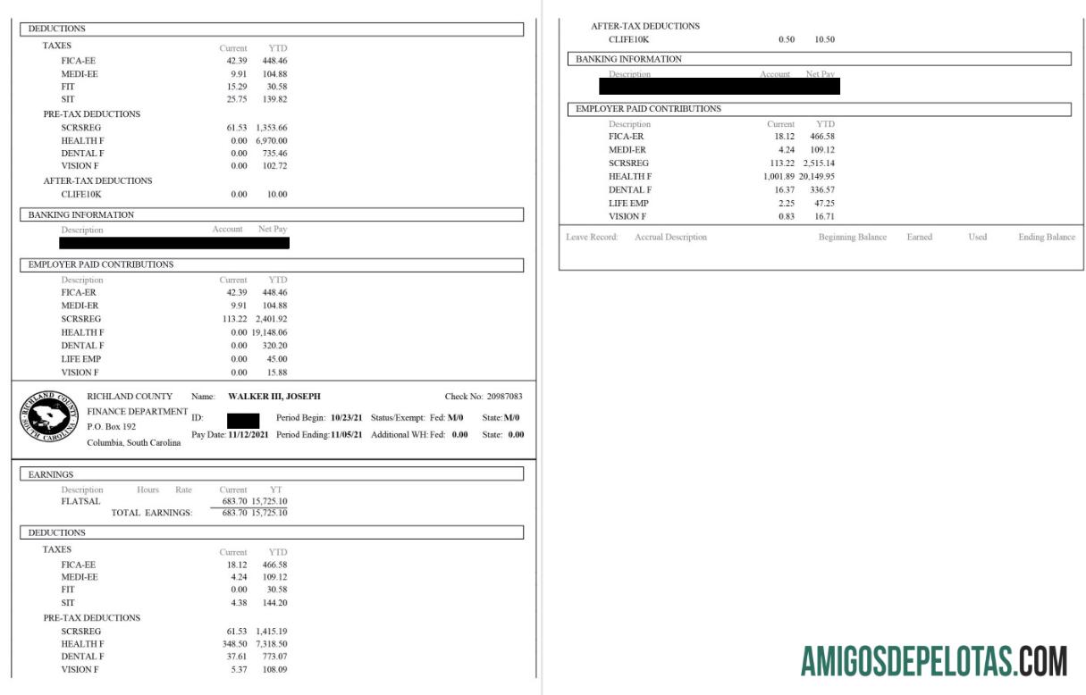 Richland County Paystub templat