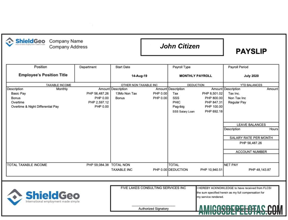SHIELDGEO payslip in Word and PDF format desain