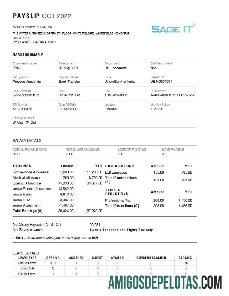 Dapat Diedit SageIT payslip templat in Word and PDF format.PDF, 1