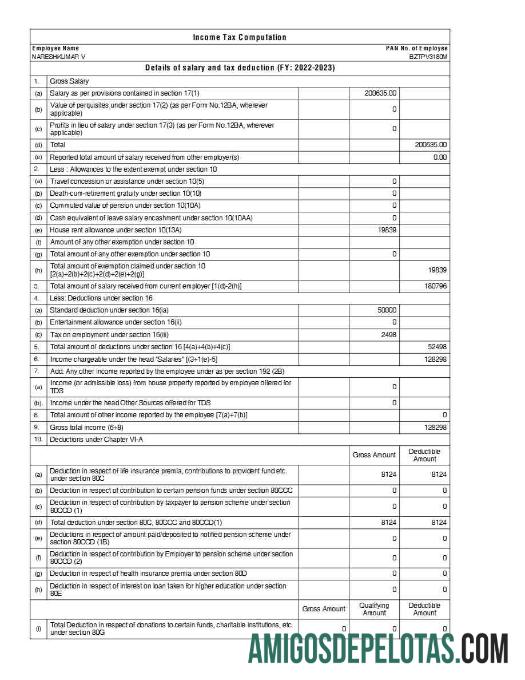 Profesional SageIT payslip templat in Word and PDF format.PDF, 2