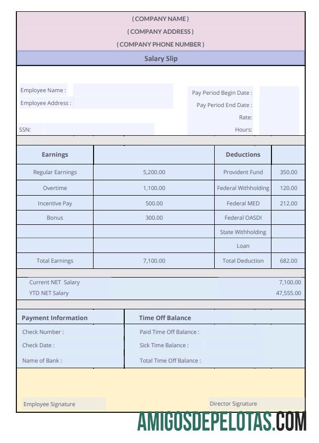 Premium Salary Slip Word and PDF templat