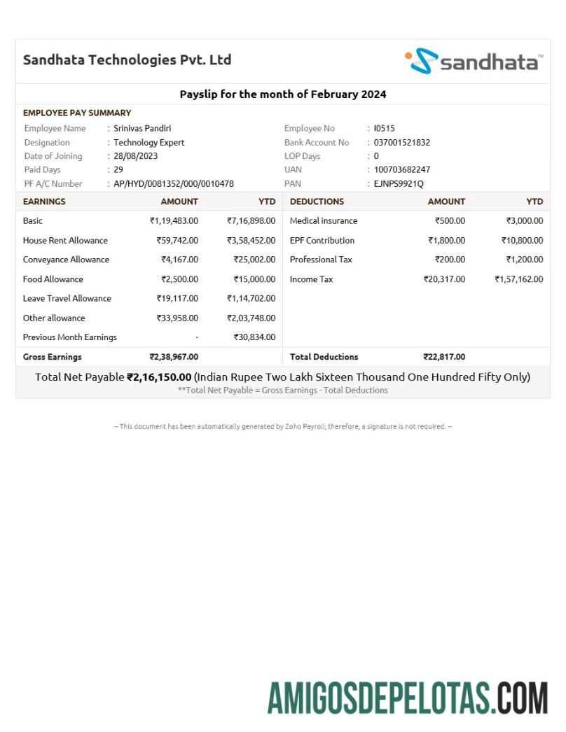 Profesional Sandhata Technologies payslip templat in Word and PDF format.PDF, 1