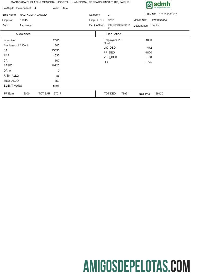 Realistis Santokba Durlabhji Memorial Hospital payslip templat in Word and PDF format.PDF, 1