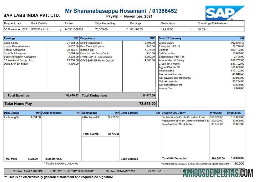 Sap Labs Payslip templat