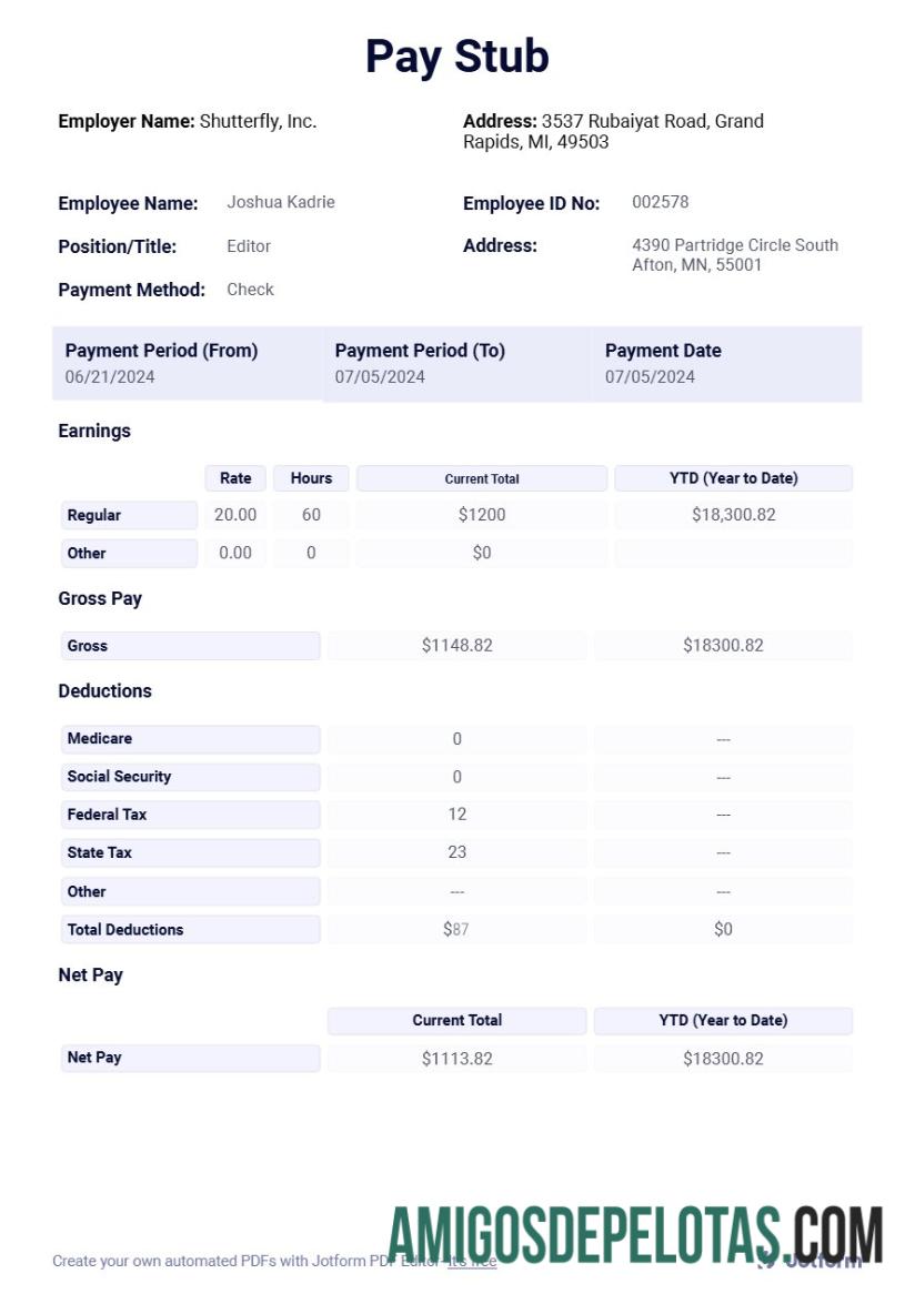 Profesional Shutterfly, Inc. pay stub templat in Word and PDF format.PDF, 1