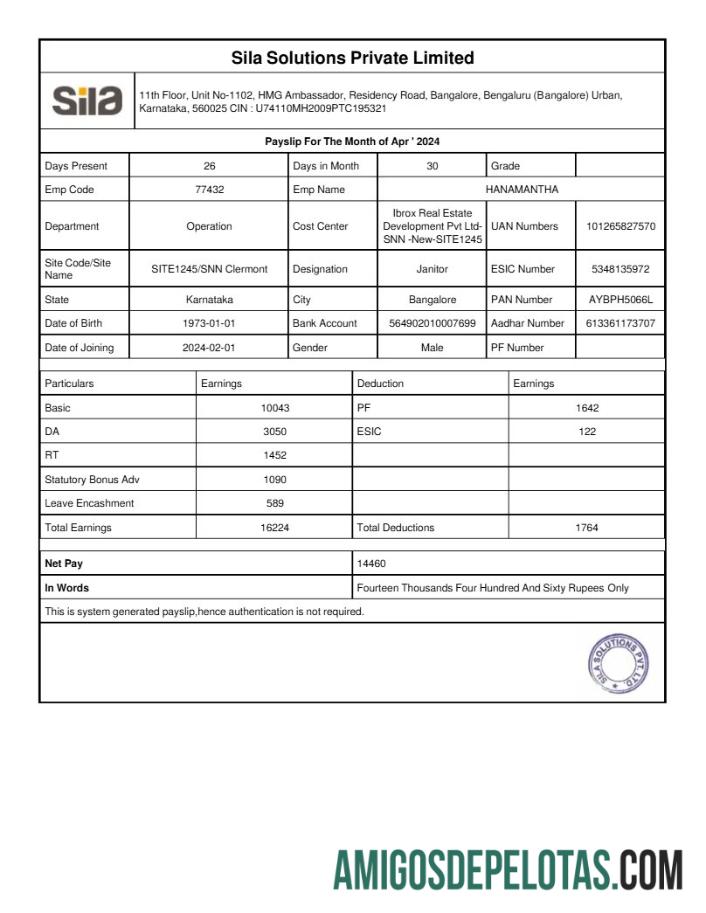Premium Sila Solutions payslip templat in Word and PDF format.PDF, 1