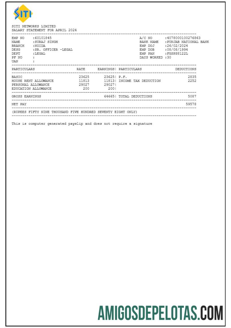 Profesional Siti Networks payslip templat in Word and PDF format.PDF, 1