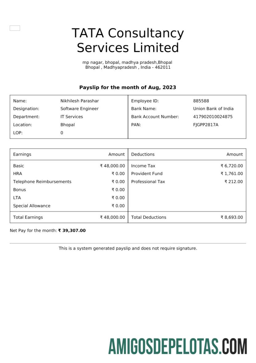 Realistis TATA Consultancy Services payslip templat in Word and PDF format, versi 2.PDF, 1