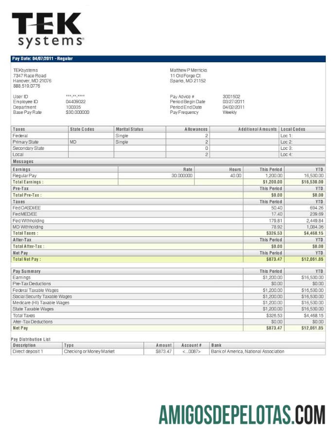 Realistis TEKsystems pay stub templat in Word and PDF format.PDF, 2