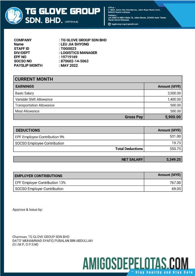Realistis TG Glove Group manufacture payslip templat in Word and PDF format.PDF, 1